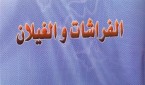 الفراشات