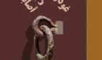 غُودو يأكلُ أصابعهُ